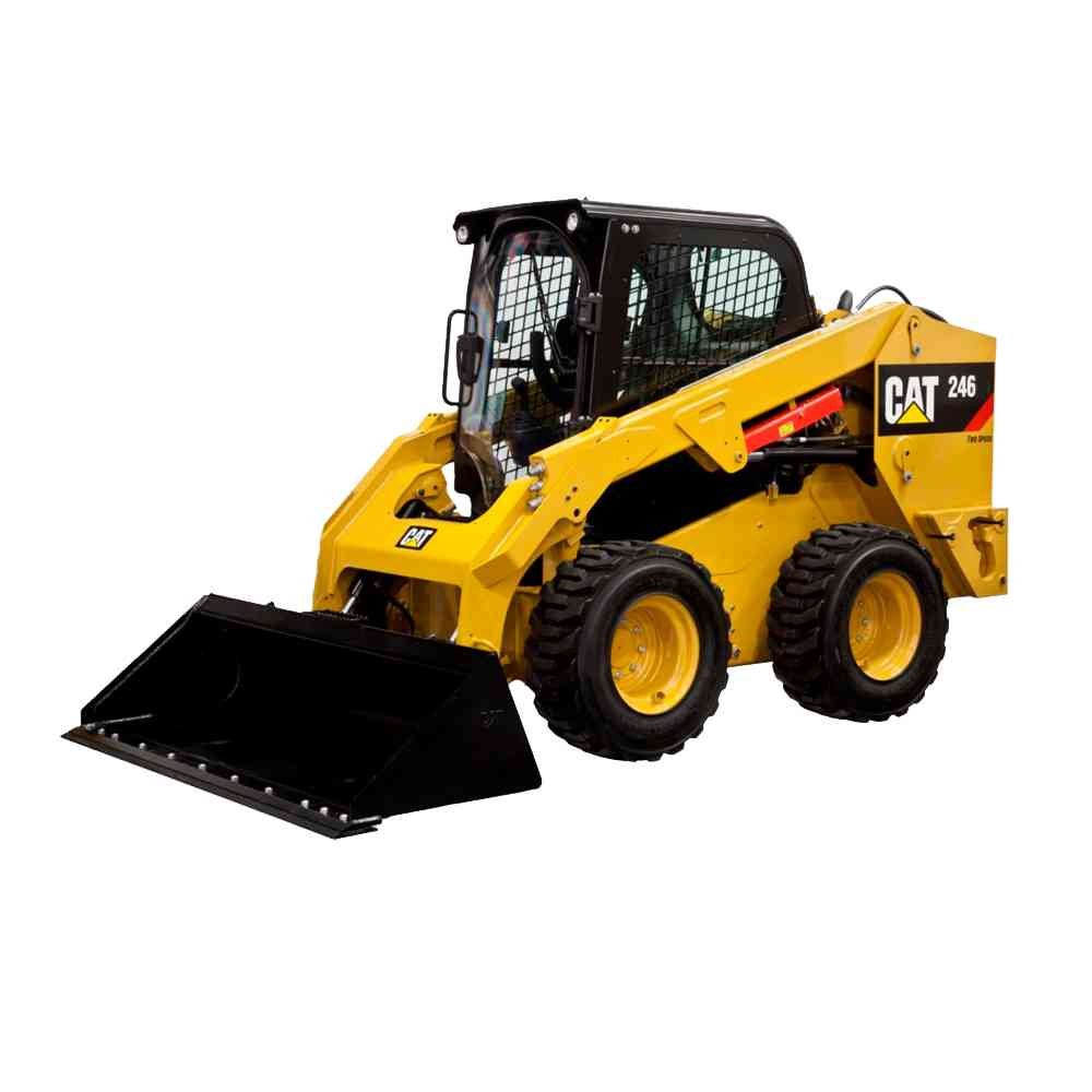 Caterpillar 246